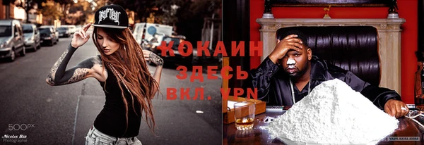 тгк Пестово