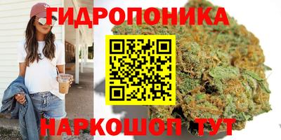 гидра Донецк