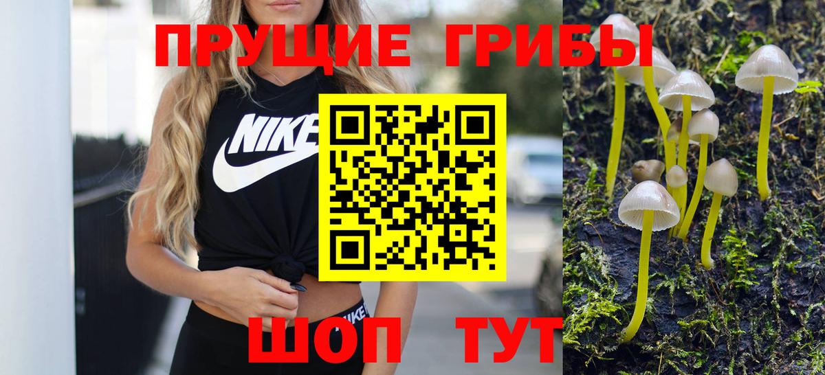 Галлюциногенные грибы Cubensis  закладка  Псилоцибиновые грибы мицелий  Родники  Вход с VPN 